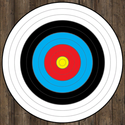 Practice Target