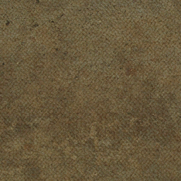 Carpet 1